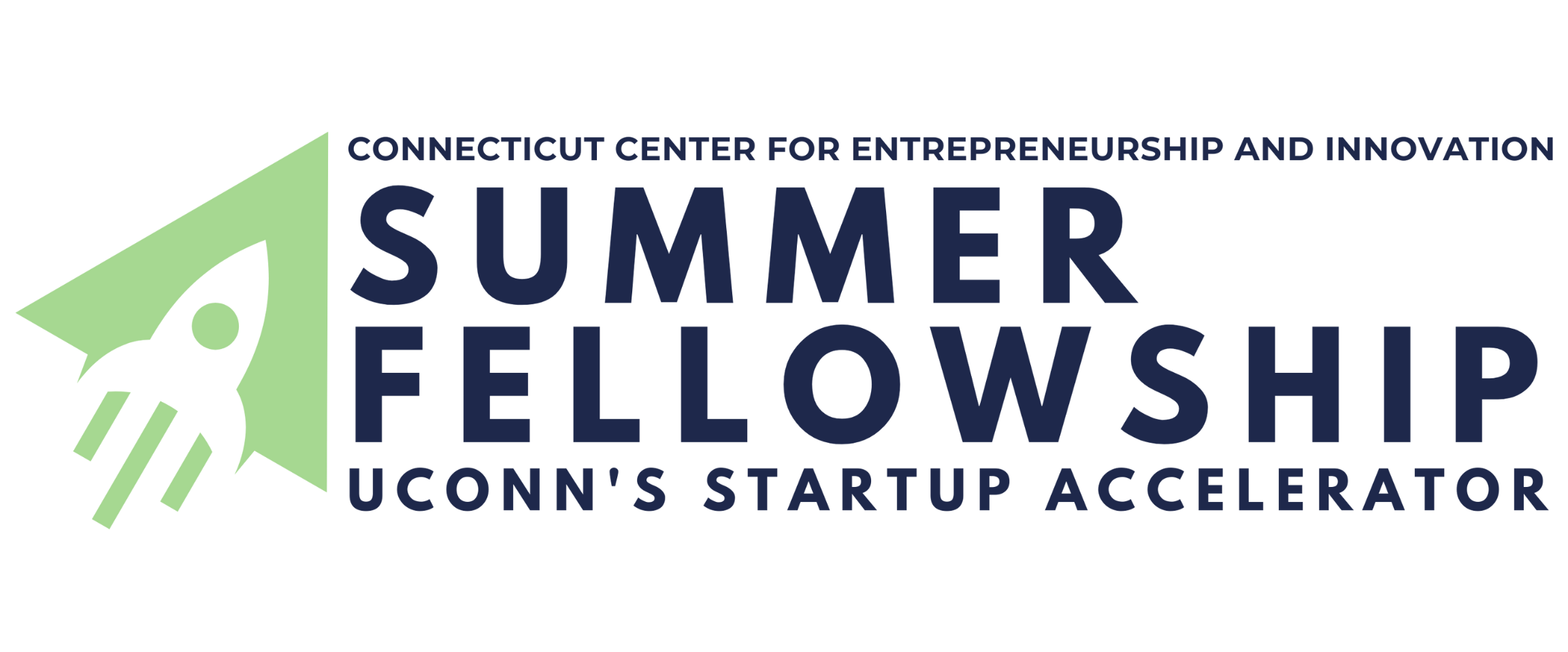 CCEI Summer Fellowship